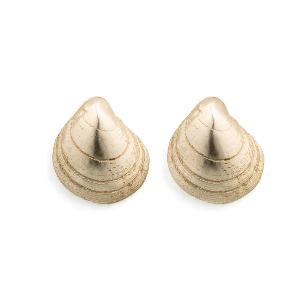 Low Tide Stud - Clam Shell