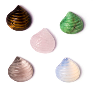 Vida Carved Shell Cuff