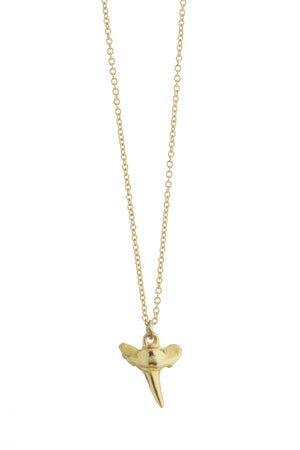 Petite Shark Tooth Necklace