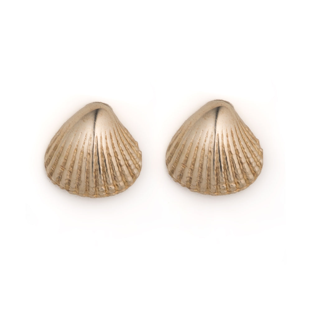 Low Tide Stud - Scallop Shell