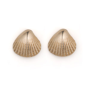 Low Tide Stud - Scallop Shell