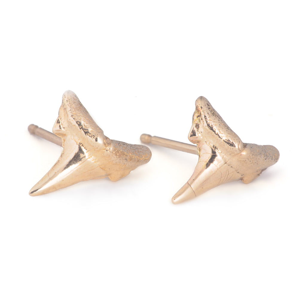 Low Tide Stud - Shark Tooth Fossil
