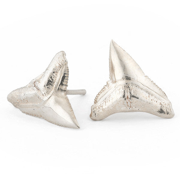 Tideline Studs - Requin