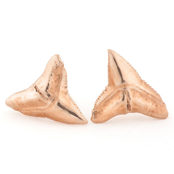 Tideline Studs - Requin