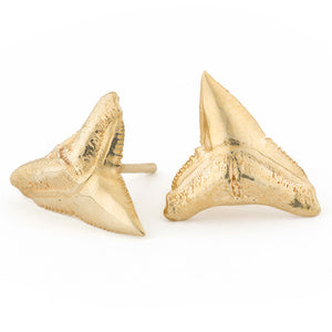 Tideline Studs - Requin